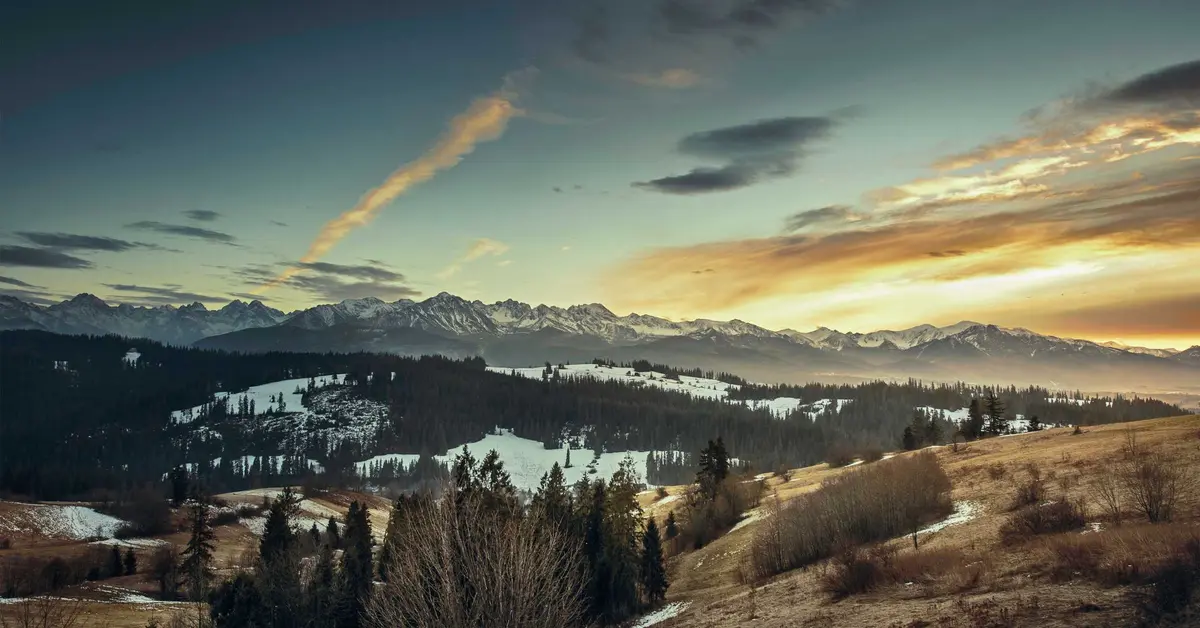 IPTV para idosos: guia simplificado | GoldenCross IPTV